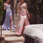 Strapless Illusion Mermaid Gown By Ladivine C169 - Women Evening Formal Gown - Special Occasion