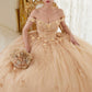 Off The Shoulder Floral Quinceanera Ball Gown By Ladivine 15702