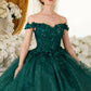 Off The Shoulder Floral Quinceanera Ball Gown By Ladivine 15702