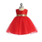 Baby Gold Silver Sequin V Back Girl Party Dress- AS498B Kids Dream