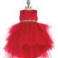 Baby Girl Dress with Ruffled Tulle High-Low Dress by TIPTOP KIDS - AS5658S