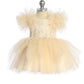 Baby Dress with Lace Applique and Fluffy Sleeves by TIPTOP KIDS - AS5848S