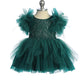 Baby Dress with Lace Applique and Fluffy Sleeves by TIPTOP KIDS - AS5848S