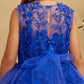 Girl Mini-Quince with Floral Tulle Bodice Dress by TIPTOP KIDS - AS7038