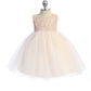 Baby Girl Lace Blush Pink Illusion Party Dress- AS414B Kids Dream