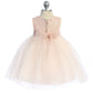 Baby Girl Lace Blush Pink Illusion Party Dress- AS414B Kids Dream