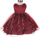 Burgundy Baby Rosebud Organza Party Dress-AS193