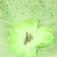 Cinderella Couture USA AS1101 Crystal Organza Mini Quince