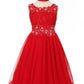 Rhinestone Lace Tulle Girl Party Dress by Cinderella Couture USA AS5010
