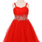 Beaded Tulle Girl Party Dress by Cinderella Couture USA AS65008