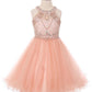Halter Rhinestone Tulle Party Dress by Cinderella Couture USA AS5022