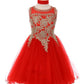 Gold Lace Rhinestone Tulle Girl Party Dress by Cinderella Couture USA AS5017