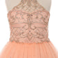 Halter Rhinestone Tulle Girl Mini Quince by Cinderella Couture USA AS5051