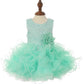 Ruffle Sequin Tulle Girl Baby Dress by Cinderella Couture USA AS9074B