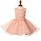 Beaded Floral Tulle Baby Dress by Cinderella Couture USA 9111B