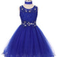 Rhinestone Lace Tulle Girl Party Dress by Cinderella Couture USA AS5010