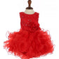 Ruffle Sequin Tulle Girl Baby Dress by Cinderella Couture USA AS9074B