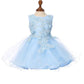 Floral Lace Tulle Girl Baby Dress by Cinderella Couture USA 9125B