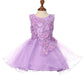 Floral Lace Tulle Girl Baby Dress by Cinderella Couture USA 9125B