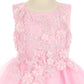 Floral Lace Tulle Girl Baby Dress by Cinderella Couture USA 9125B