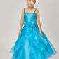 Cinderella Couture USA AS1101 Crystal Organza Mini Quince