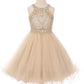 Satin Soft Tulle Party Dress - Plus size by Cinderella Couture USA 5022X