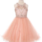 Satin Soft Tulle Party Dress - Plus size by Cinderella Couture USA 5022X