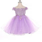 Off the Shoulder Floral Lace Tulle Baby Party Dress by Cinderella Couture USA AS9085B