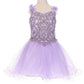 Floral Lace Tulle Girl Party Dress by Cinderella Couture USA AS5130