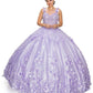 3D Stone/Pearl Embellishments floral Applique Quinceanera Dress by Cinderella Couture USA AS8030J