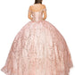 Glitter Tulle Quinceanera Dress by Cinderella Couture USA AS8033J-ROSE