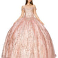 Glitter Tulle Quinceanera Dress by Cinderella Couture USA AS8033J-ROSE