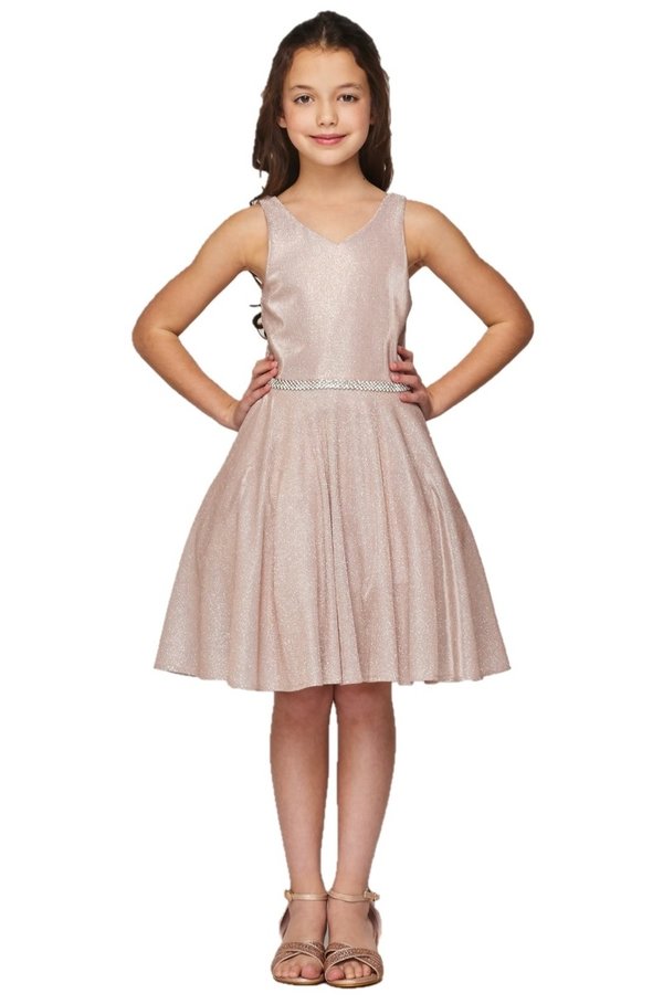 Shiny Metallic Girl Party Dress by Cinderella Couture USA AS8013