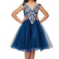 Silver Lace Tulle Party Dress by Cinderella Couture USA 5105