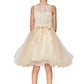Rhinestone Lace Tulle Girl Party Dress by Cinderella Couture USA AS5010