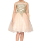 Gold Lace Rhinestone Tulle Girl Party Dress by Cinderella Couture USA AS5017