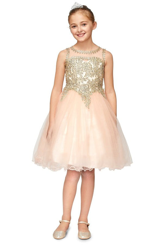 Gold Lace Rhinestone Tulle Girl Party Dress by Cinderella Couture USA AS5017