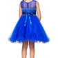 Beaded Rhinestones Tulle Girl Party Dress by Cinderella Couture USA AS5029