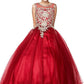 Floral Lace Rhinestone Tulle Girl Mini Quince by Cinderella Couture USA AS5041