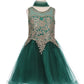 Gold Lace Rhinestone Tulle Girl Party Dress by Cinderella Couture USA AS5017