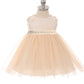 Baby Girl Lace & Mesh Pearl Trim Party Dress - AS456B-B Kids Dream