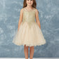 Champagne Girl Dress with Floral Applique Bodice - AS7013