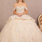Champagne Jewel 3-D Butterfly Applique Sweetheart Quinceanera Dress - GL3112
