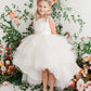 Champagne_1 Girl Dress with Ruffled Tulle High-Low Dress - AS5658
