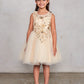 Gold Girl Dress with Flowers Rhinestone Bodice - AS7027