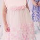 Pink_1 Baby Mesh Flowers Taffeta Party Dress-AS333