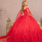 Red_1 GL3110 - Butterfly Applique Glitter Quinceanera Dress