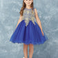 Royal Blue Girl Dress with Floral Applique Bodice - AS7013