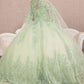 Sage_1 3-D Butterfly Sweetheart Neckline Quinceanera Dress - GL3104