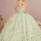 Sage_1 Jewel Embroidery Sweetheart Quinceanera Dress - GL3173